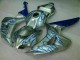 2006-2007 Blue Flame Silver Honda CBR1000RR Motorcycle Fairing Kits UK 2006-2007 Blue Flame Silver Honda CBR1000RR Motorcycle Fairing Kits UK
