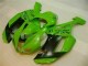 2007-2008 Green Black Dunlop Kawasaki ZX6R Motorbike Fairing Kits UK 2007-2008 Green Black Dunlop Kawasaki ZX6R Motorbike Fairing Kits UK