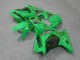 2008-2012 Green Kawasaki EX250 Bike Fairings UK 2008-2012 Green Kawasaki EX250 Bike Fairings UK